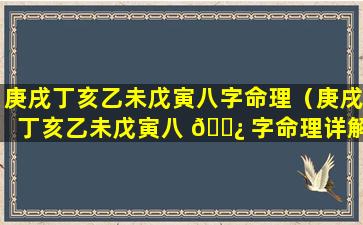 庚戌丁亥乙未戊寅八字命理（庚戌丁亥乙未戊寅八 🌿 字命理详解）